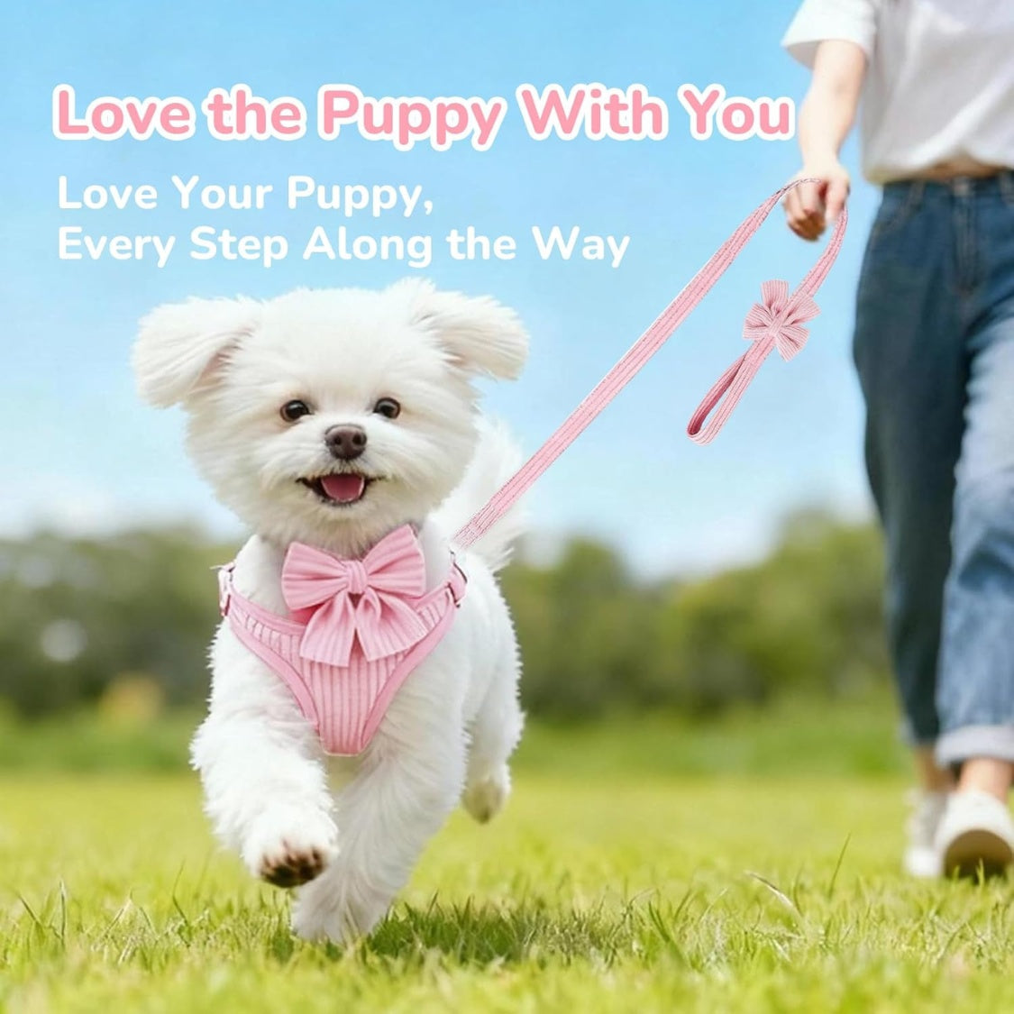 Small Dog Collar Harness And Leash Set Dog 