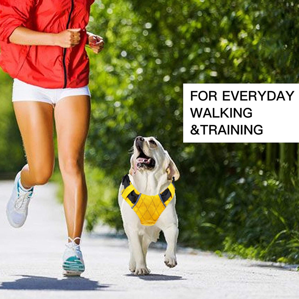 A dog wearing a reflective waterproof dog harness while running on a path with a person, ideal for everyday walking and training.