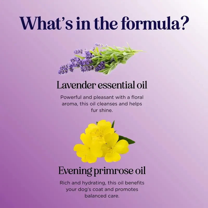 Lavender Pet Grooming Spray