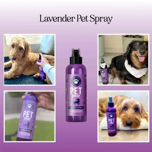 Lavender Pet Grooming Spray