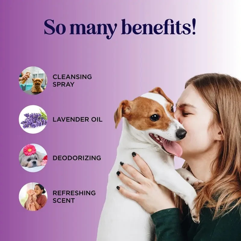 Lavender Pet Grooming Spray