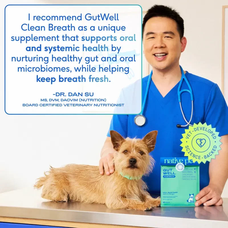 Dog Dental Powder for Plaque and Tartar
