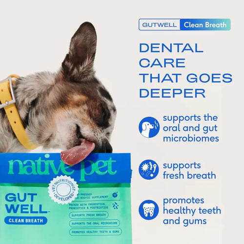 Dog Dental Powder for Plaque and Tartar