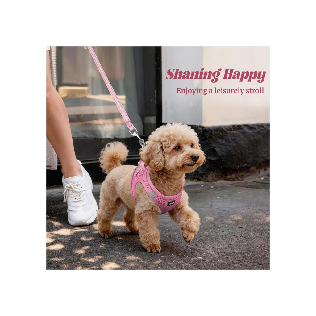 No Pull Dog Puppy Harness And Leash Set Reflective Mesh Vest