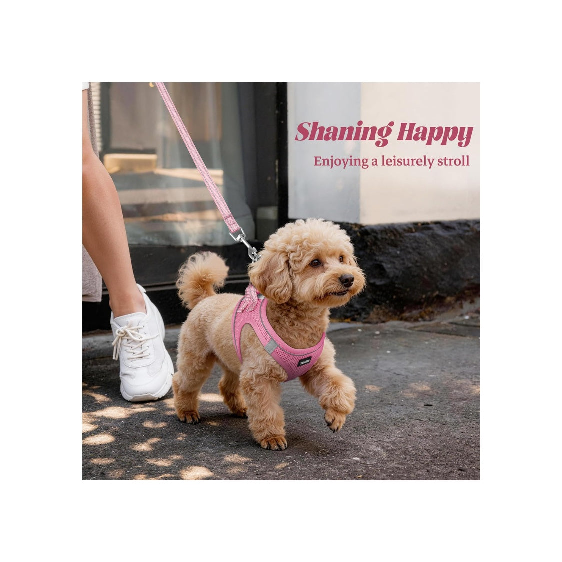 No Pull Dog Puppy Harness And Leash Set Reflective Mesh Vest