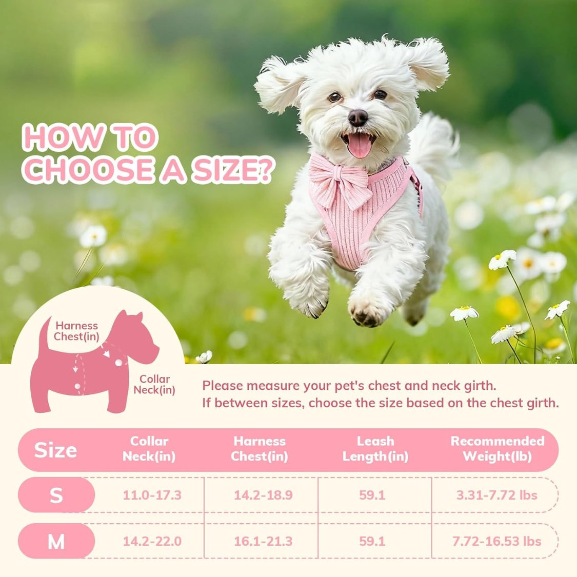 Small Dog Collar Harness And Leash Set Dog 