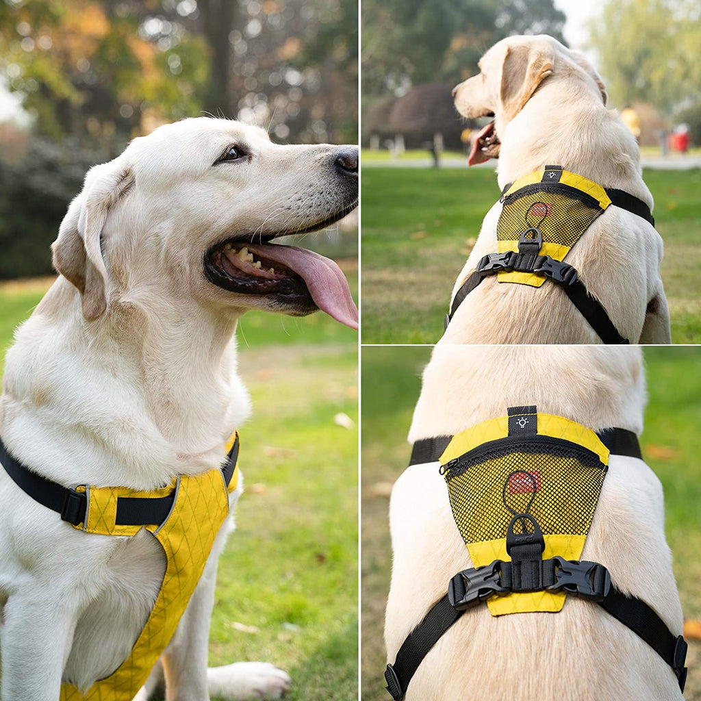 reflective waterproof dog harness in yellow for outdoor adventures and safety