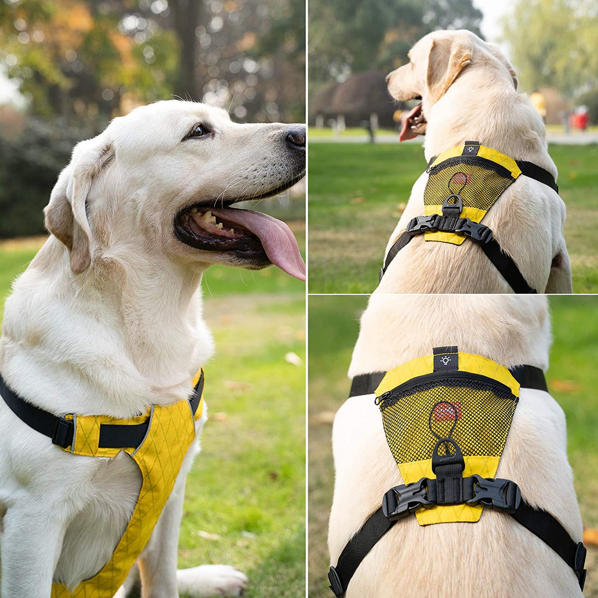 reflective waterproof dog harness in yellow for outdoor adventures and safety