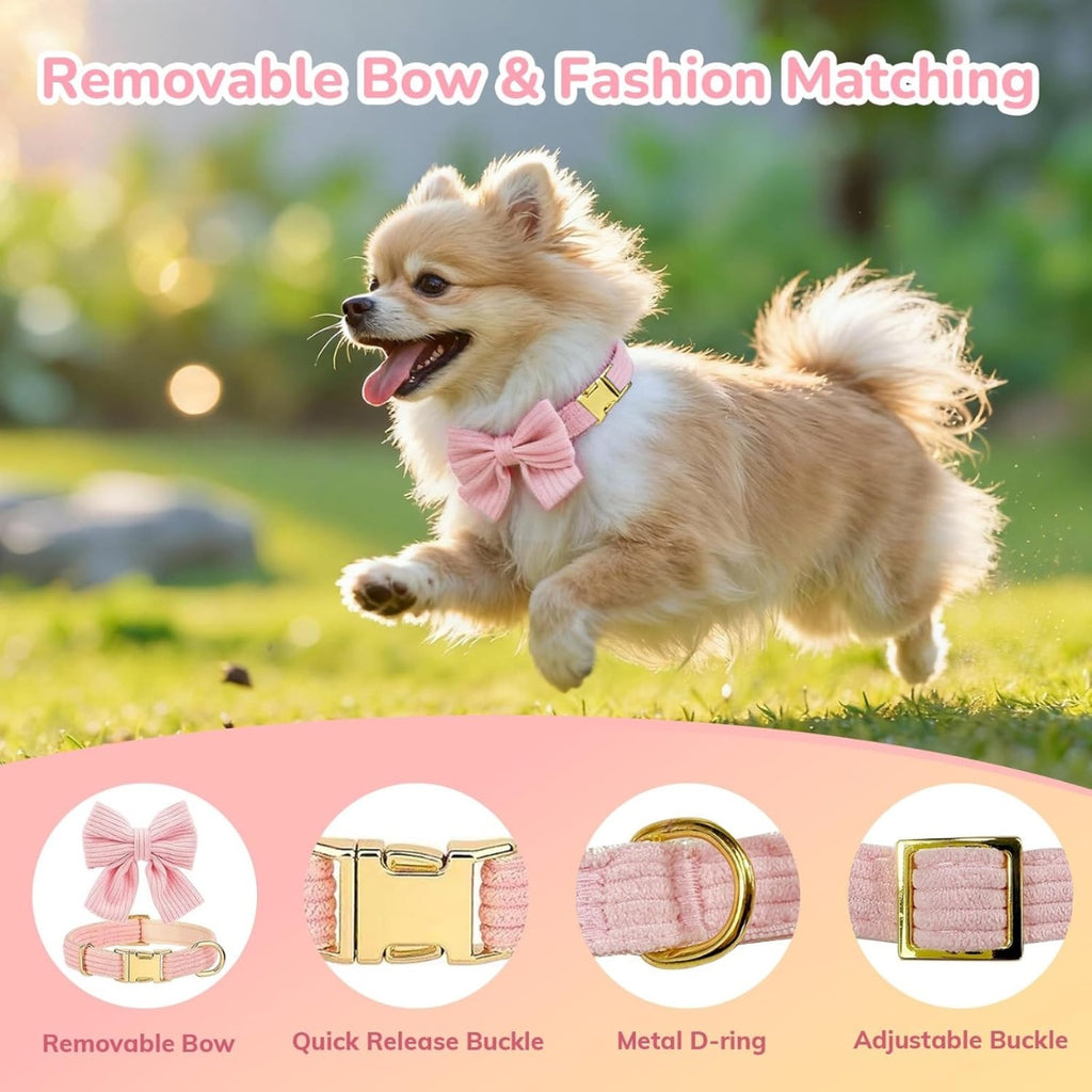 Small Dog Collar Harness And Leash Set Dog 